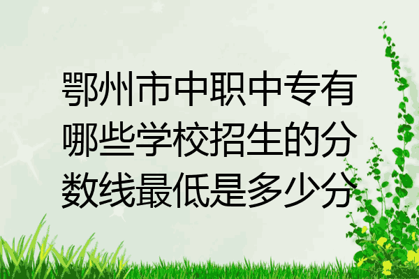 鄂州市中职中专有哪些学校招生的分数线最低是多少分