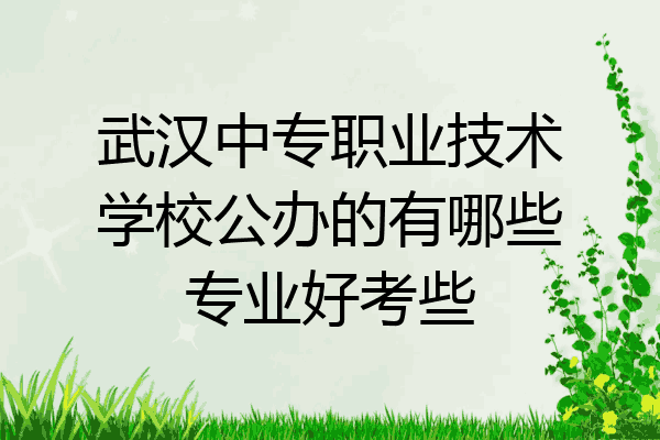 武汉中专职业技术学校公办的有哪些专业好考些