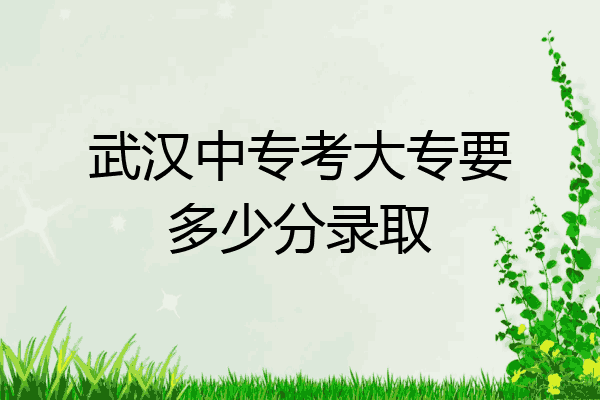 武汉中专考大专要多少分录取