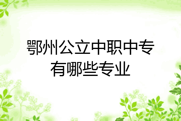 鄂州公立中职中专有哪些专业