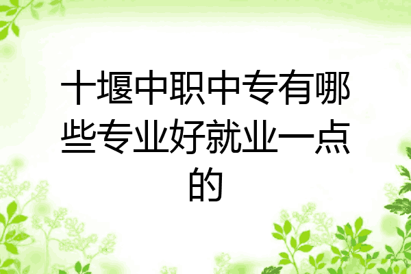 十堰中职中专有哪些专业好就业一点的