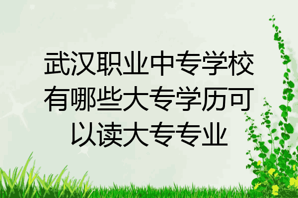 武汉职业中专学校有哪些大专学历可以读大专专业