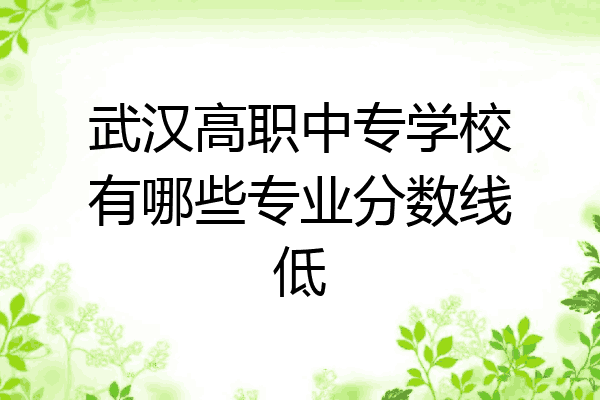武汉高职中专学校有哪些专业分数线低