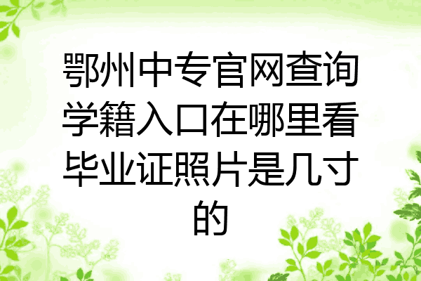 鄂州中专官网查询学籍入口在哪里看毕业证照片是几寸的