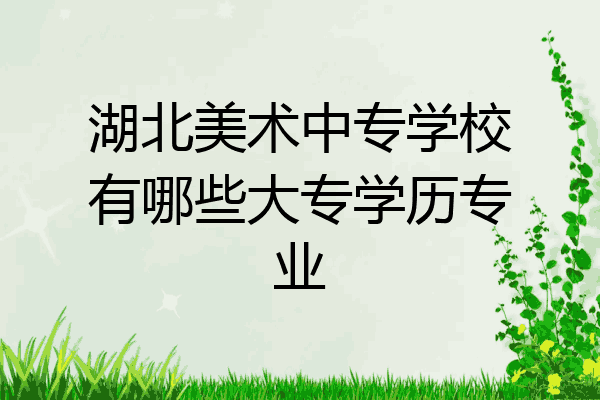 湖北美术中专学校有哪些大专学历专业