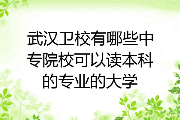 武汉卫校有哪些中专院校可以读本科的专业的大学