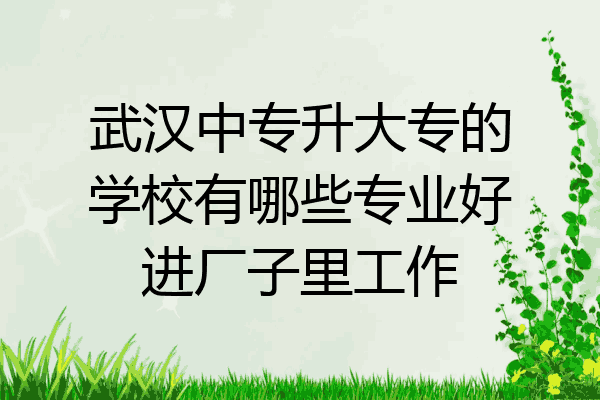 武汉中专升大专的学校有哪些专业好进厂子里工作