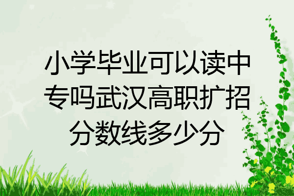 小学毕业可以读中专吗武汉高职扩招分数线多少分