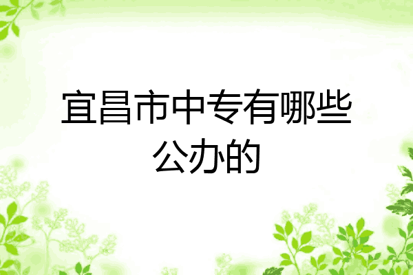 宜昌市中专有哪些公办的