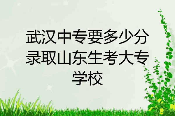 武汉中专要多少分录取山东生考大专学校