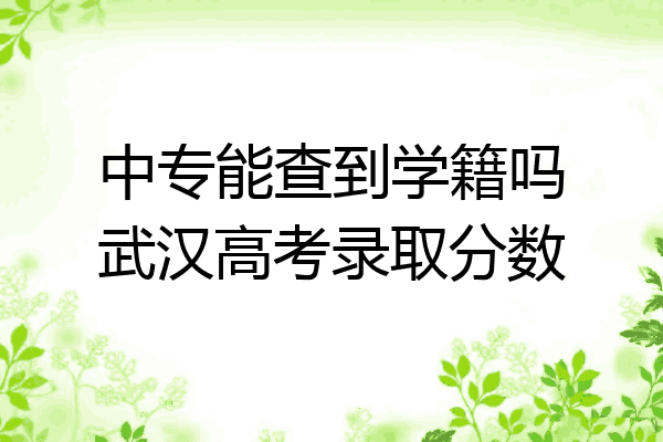 中专能查到学籍吗武汉高考录取分数