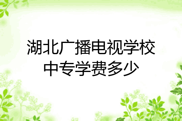 湖北广播电视学校中专学费多少