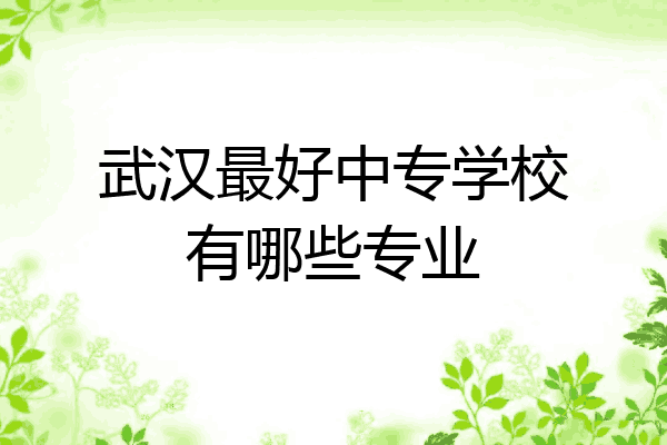 武汉最好中专学校有哪些专业