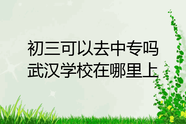 初三可以去中专吗武汉学校在哪里上