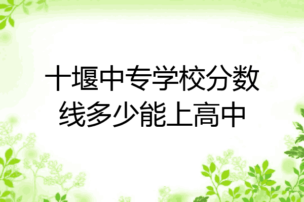十堰中专学校分数线多少能上高中