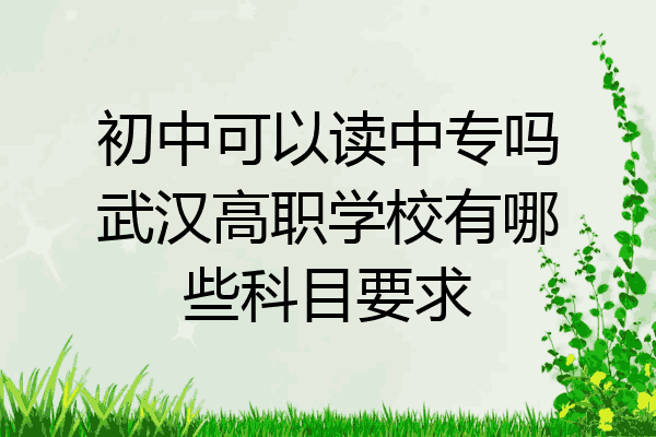 初中可以读中专吗武汉高职学校有哪些科目要求