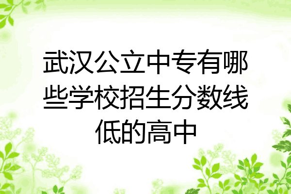 武汉公立中专有哪些学校招生分数线低的高中