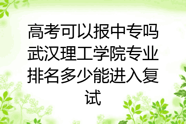 高考可以报中专吗武汉理工学院专业排名多少能进入复试