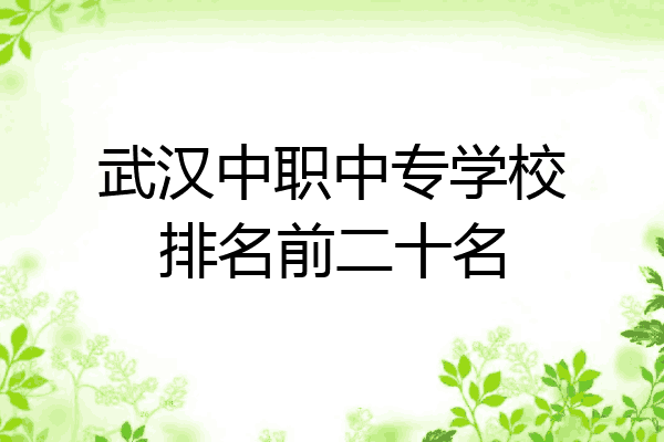 武汉中职中专学校排名前二十名
