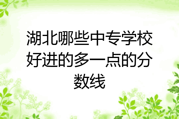 湖北哪些中专学校好进的多一点的分数线