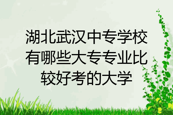 湖北武汉中专学校有哪些大专专业比较好考的大学