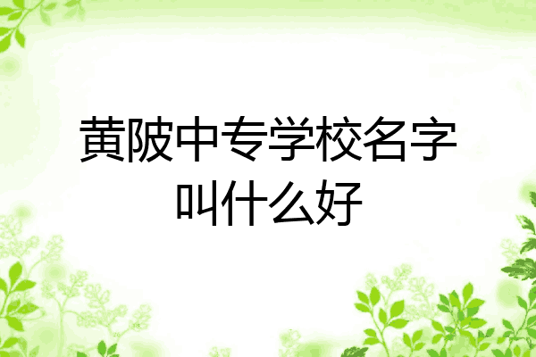 黄陂中专学校名字叫什么好