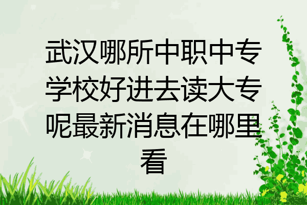 武汉哪所中职中专学校好进去读大专呢最新消息在哪里看