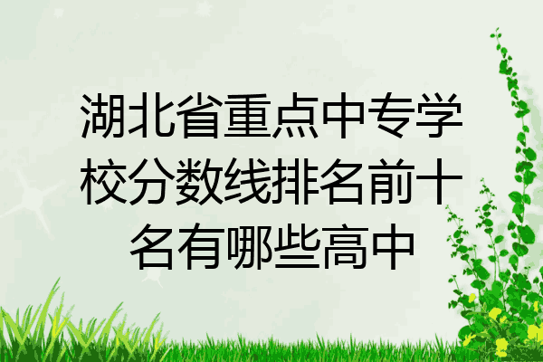 湖北省重点中专学校分数线排名前十名有哪些高中
