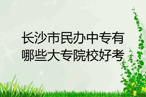 长沙市民办中专有哪些大专院校好考