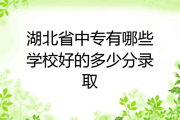 湖北省中专有哪些学校好的多少分录取