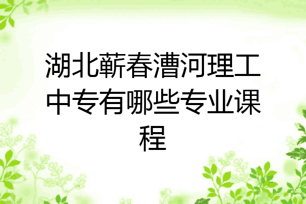 湖北蕲春漕河理工中专有哪些专业课程