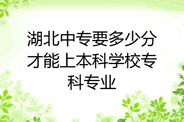 湖北中专要多少分才能上本科学校专科专业