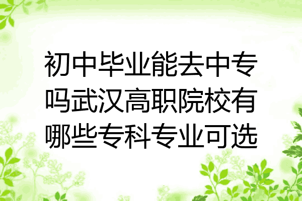 初中毕业能去中专吗武汉高职院校有哪些专科专业可选