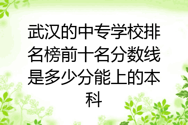 武汉的中专学校排名榜前十名分数线是多少分能上的本科