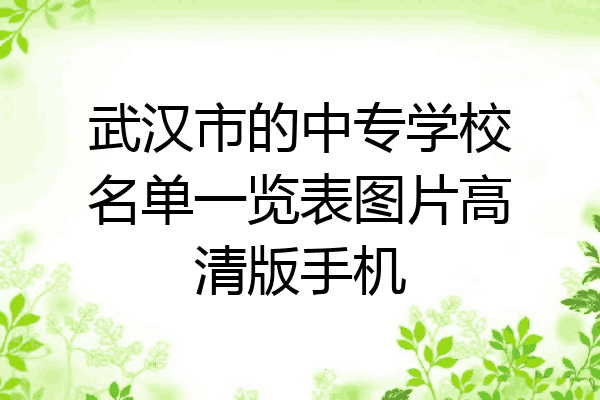 武汉市的中专学校名单一览表图片高清版手机