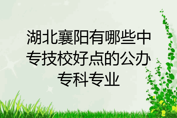 湖北襄阳有哪些中专技校好点的公办专科专业