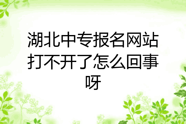 湖北中专报名网站打不开了怎么回事呀
