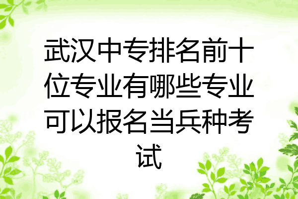 武汉中专排名前十位专业有哪些专业可以报名当兵种考试