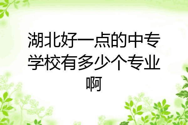 湖北好一点的中专学校有多少个专业啊