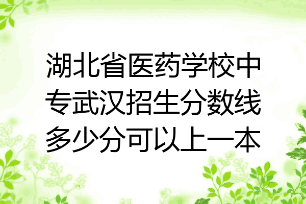 湖北省医药学校中专武汉招生分数线多少分可以上一本