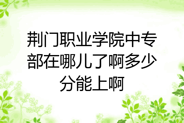 荆门职业学院中专部在哪儿了啊多少分能上啊