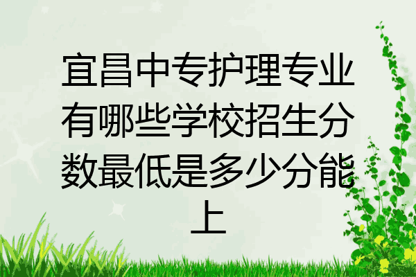 宜昌中专护理专业有哪些学校招生分数最低是多少分能上
