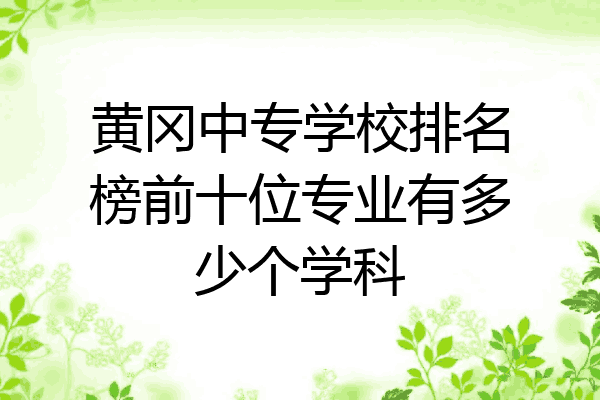 黄冈中专学校排名榜前十位专业有多少个学科
