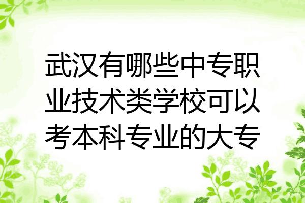 武汉有哪些中专职业技术类学校可以考本科专业的大专