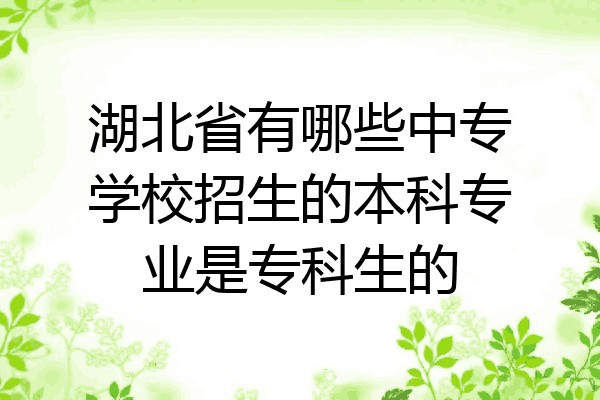 湖北省有哪些中专学校招生的本科专业是专科生的