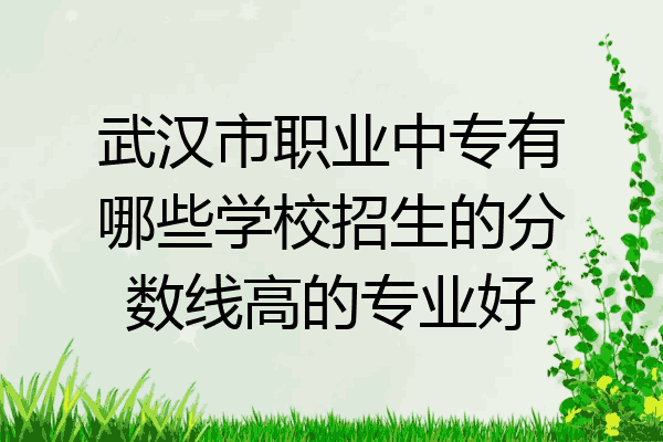 武汉市职业中专有哪些学校招生的分数线高的专业好