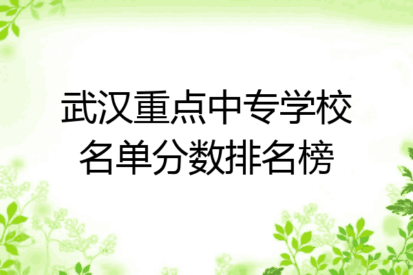 武汉重点中专学校名单分数排名榜