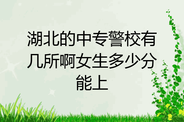 湖北的中专警校有几所啊女生多少分能上