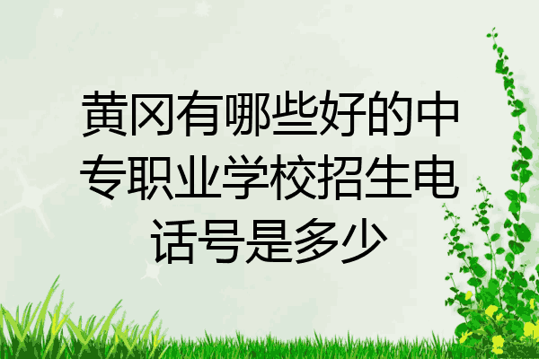 黄冈有哪些好的中专职业学校招生电话号是多少