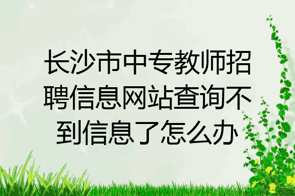 长沙市中专教师招聘信息网站查询不到信息了怎么办
